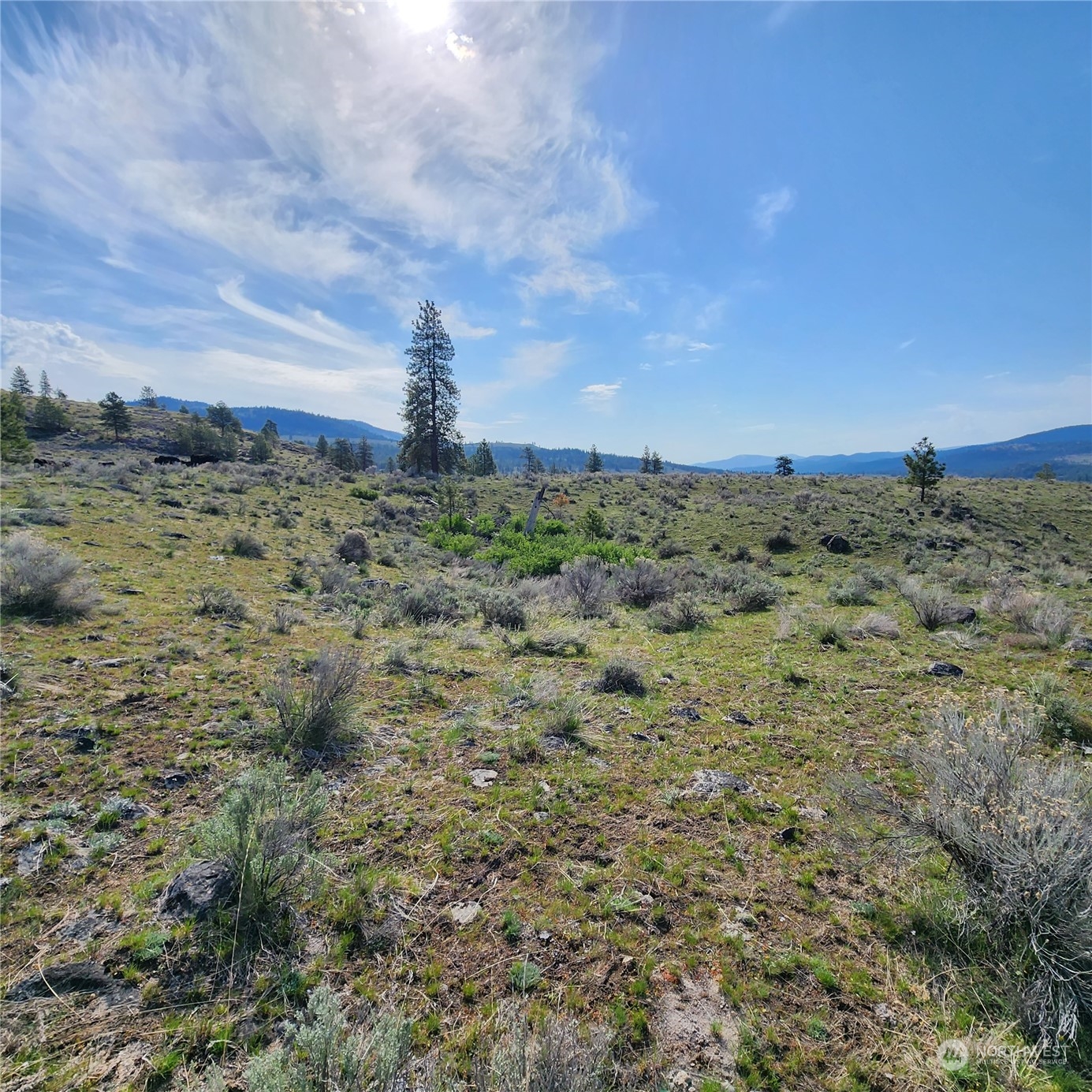 0 Lot 9 State Route 20 & Aeneas Valley Road Property Photo 19