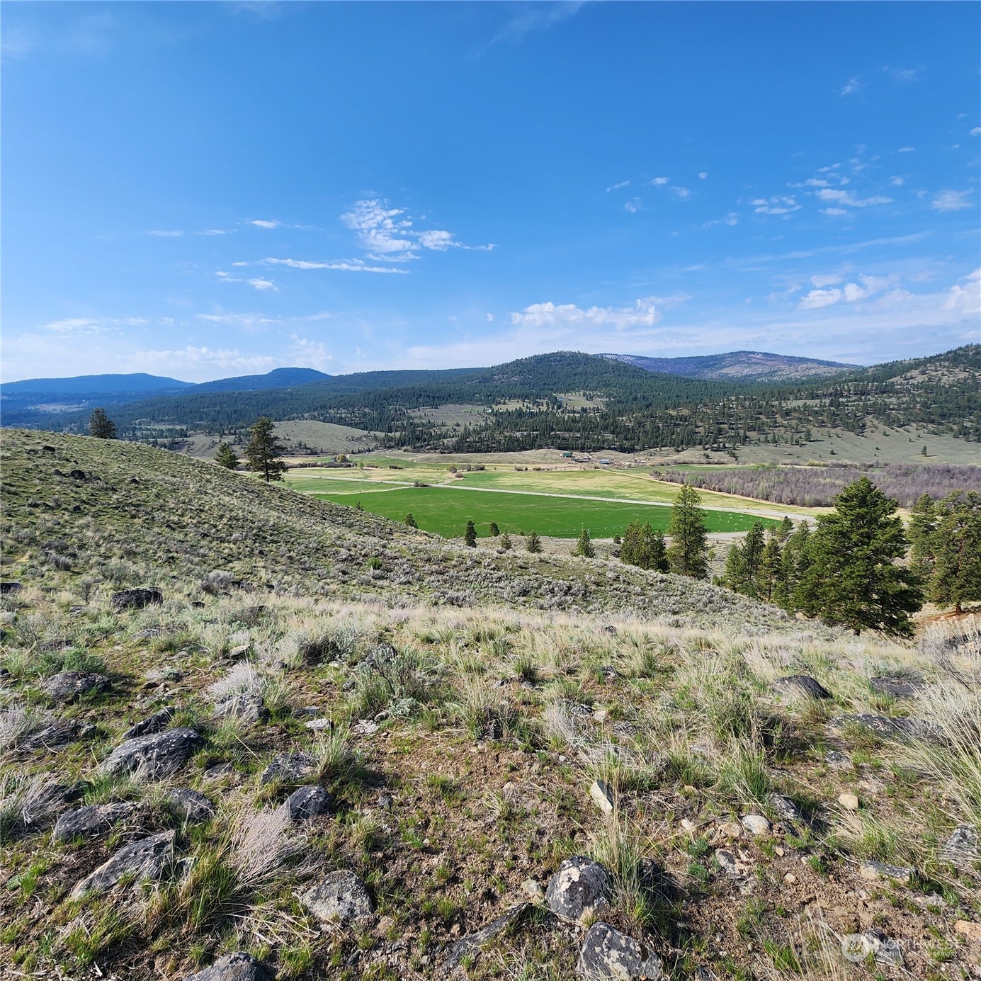 0 Lot 9 State Route 20 & Aeneas Valley Road Property Photo 20