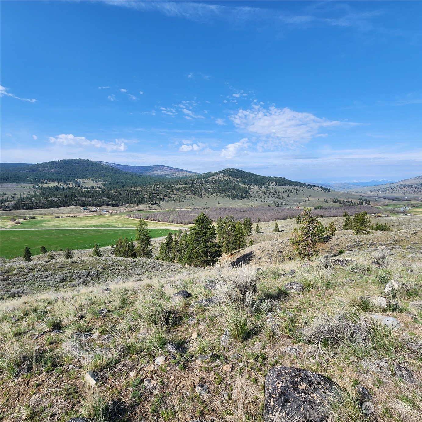 0 Lot 9 State Route 20 & Aeneas Valley Road Property Photo 21