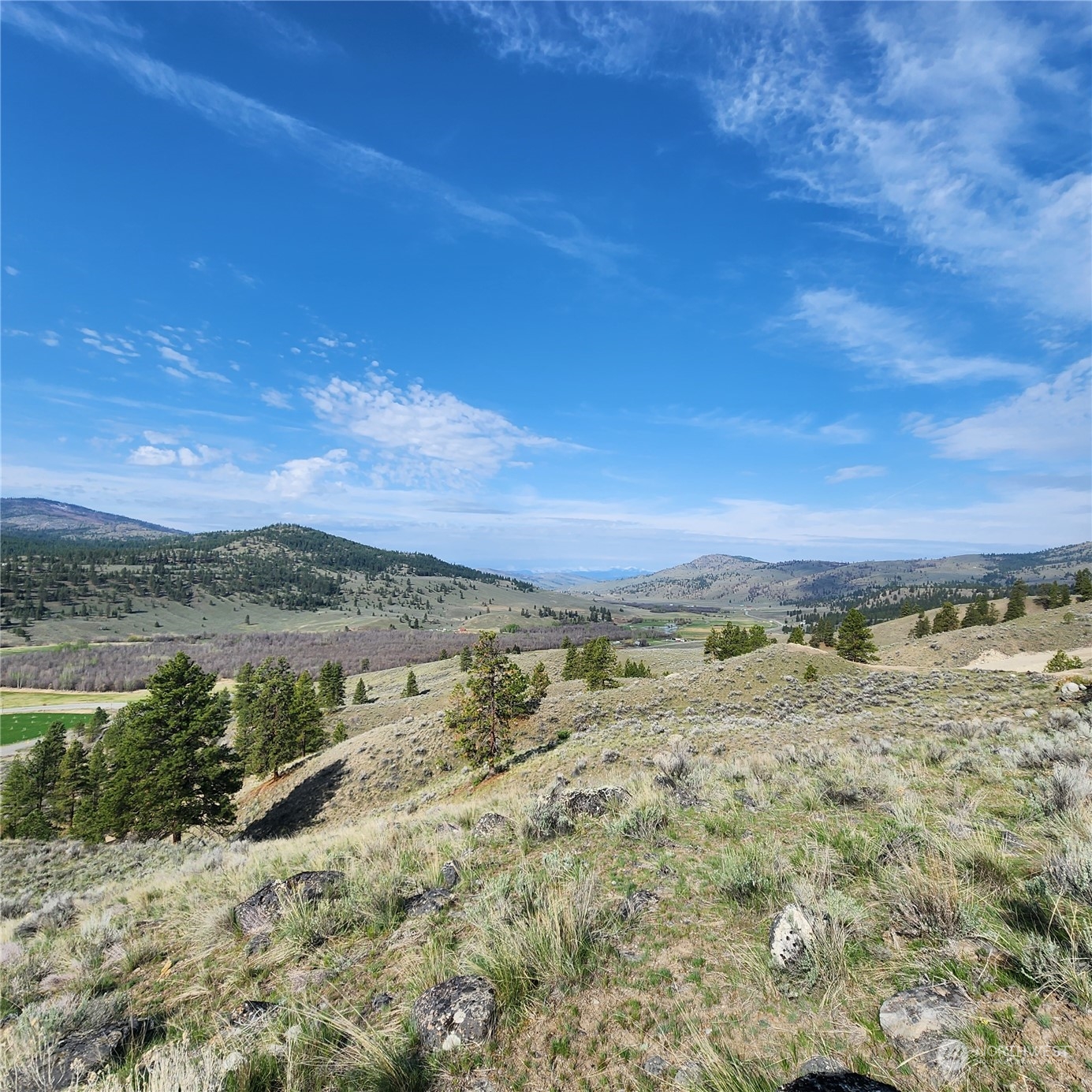 0 Lot 9 State Route 20 & Aeneas Valley Road Property Photo 22