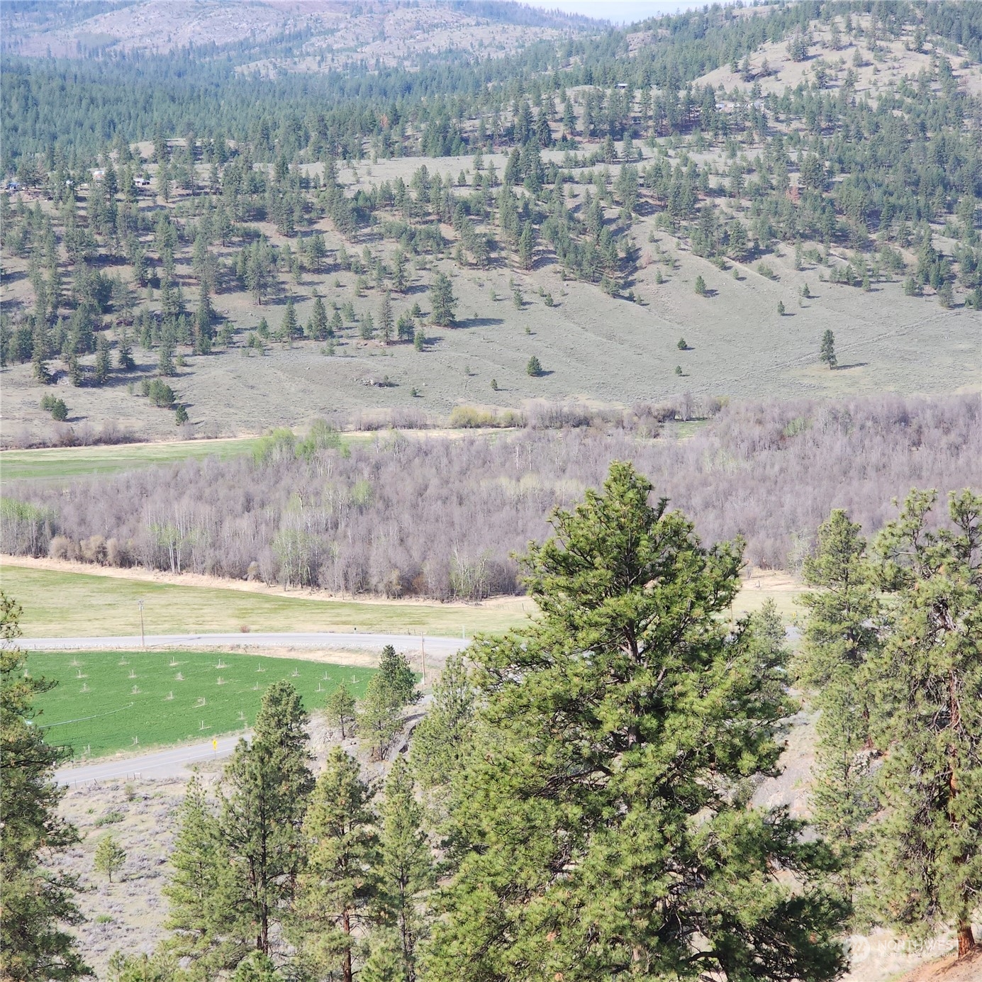 0 Lot 9 State Route 20 & Aeneas Valley Road Property Photo 23