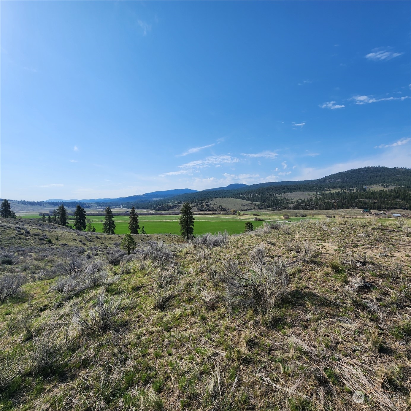 0 Lot 9 State Route 20 & Aeneas Valley Road Property Photo 29
