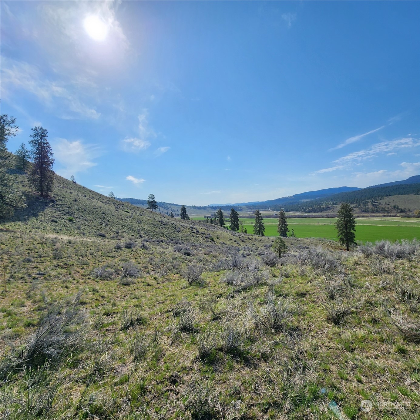 0 Lot 9 State Route 20 & Aeneas Valley Road Property Photo 30