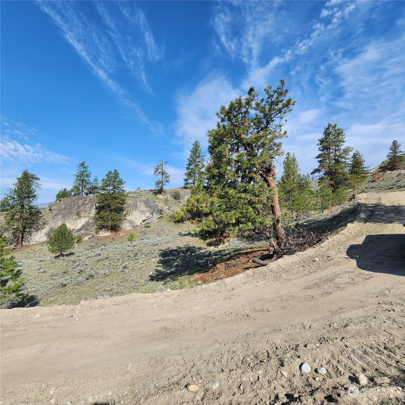 0 Lot 9 State Route 20 & Aeneas Valley Road Property Photo 31