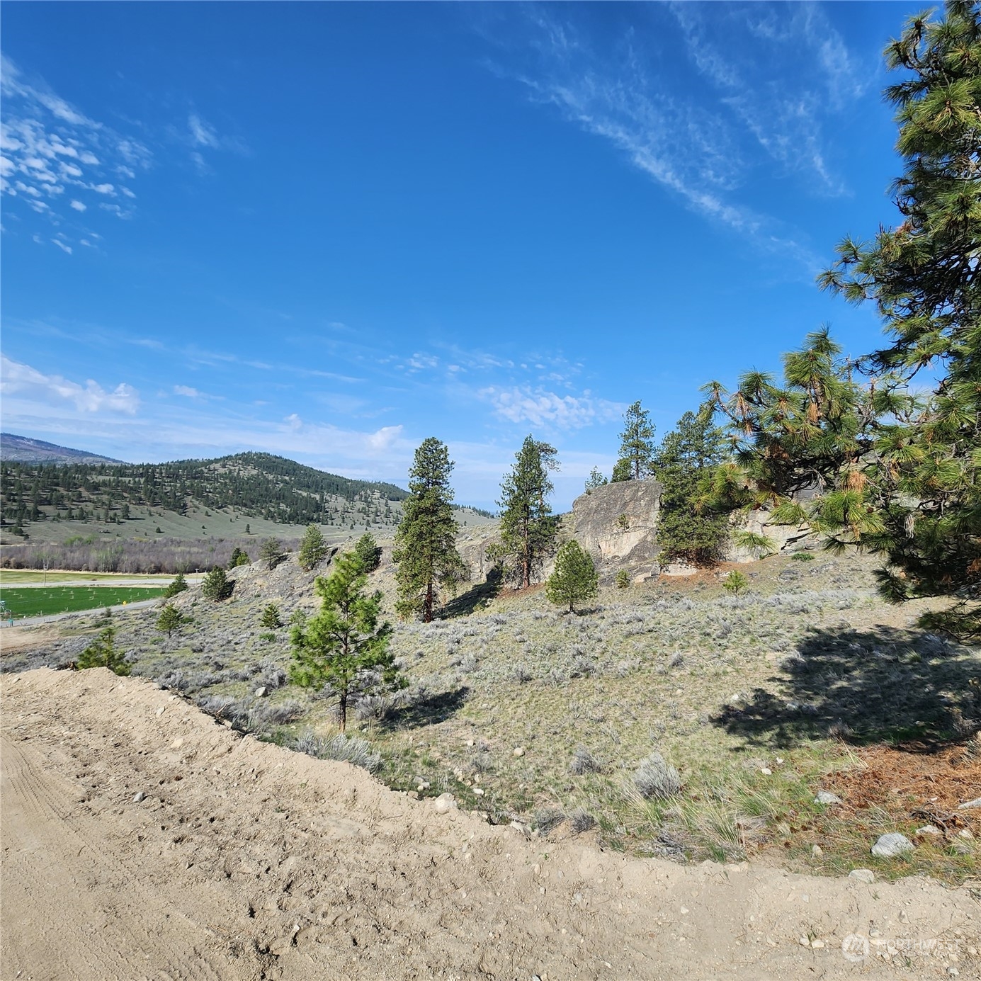 0 Lot 9 State Route 20 & Aeneas Valley Road Property Photo 32