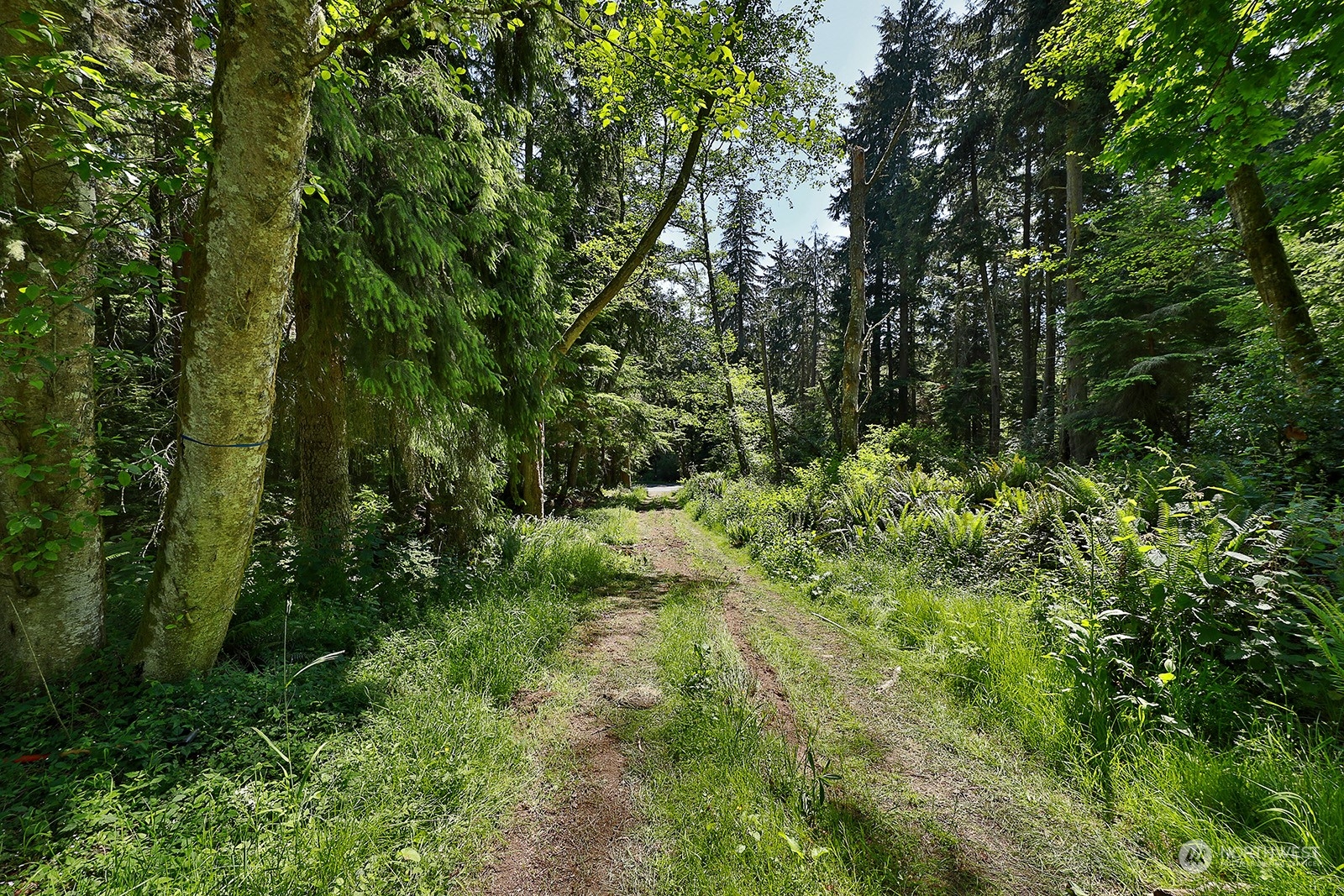 0 Xxx Smugglers Cove Road Property Photo 14