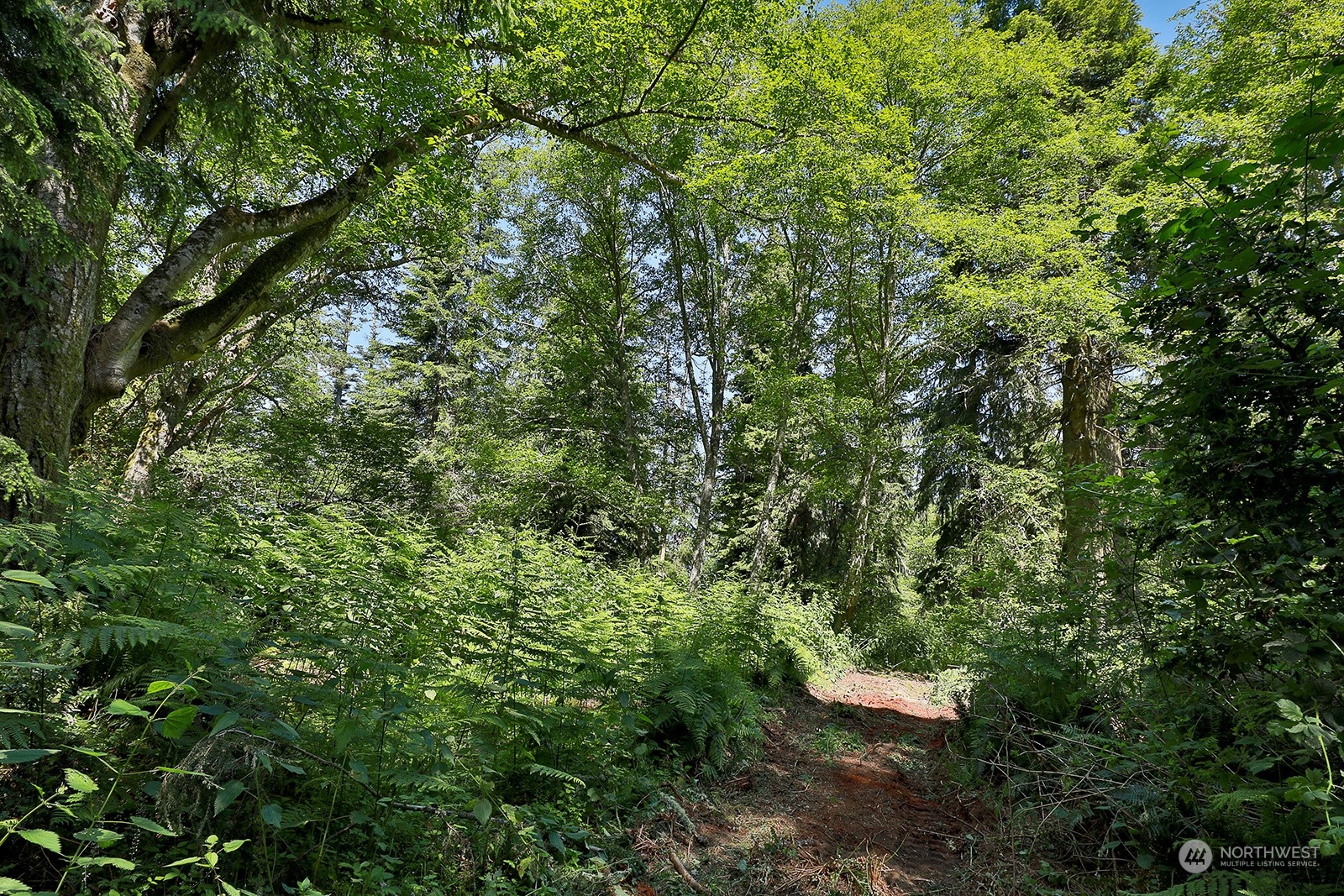 0 Xxx Smugglers Cove Road Property Photo 17