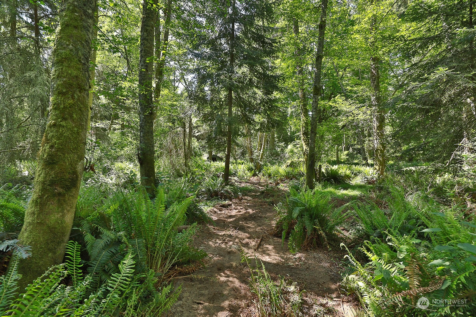 0 Xxx Smugglers Cove Road Property Photo 18