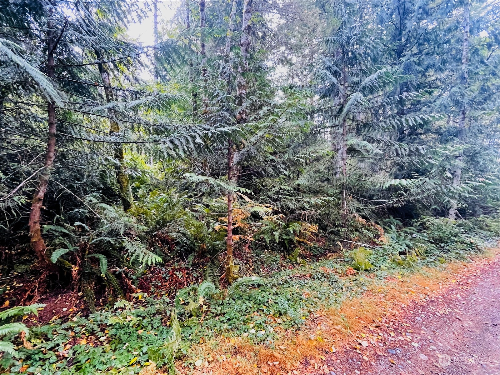0 Trct 3 Nw Rhododendron Court Property Photo 4