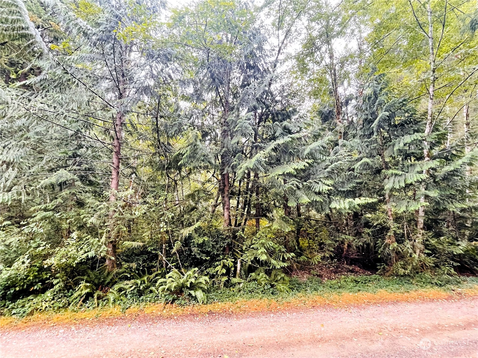 0 Trct 3 Nw Rhododendron Court Property Photo 6