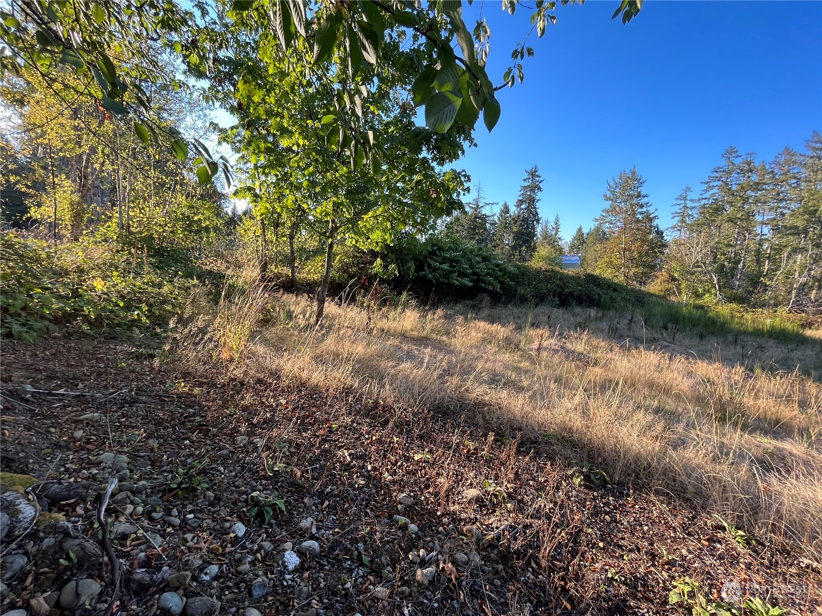 130 E Tacoma Street Property Photo 10