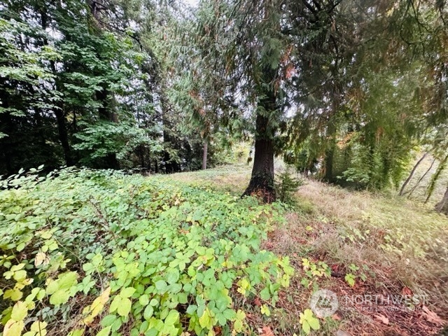 2 W Sherman Heights Road Property Photo 6