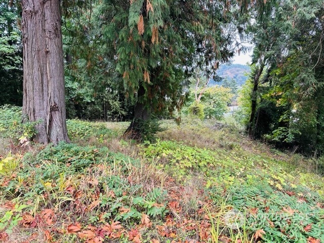 2 W Sherman Heights Road Property Photo 10