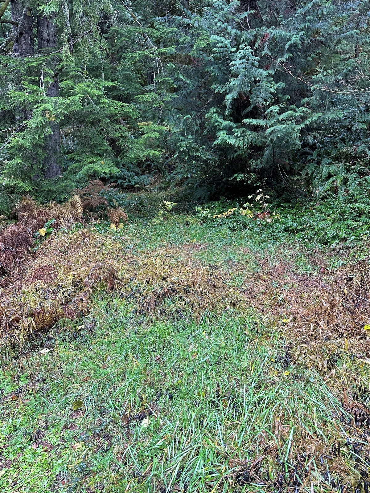 38219 State Route 706 Property Photo