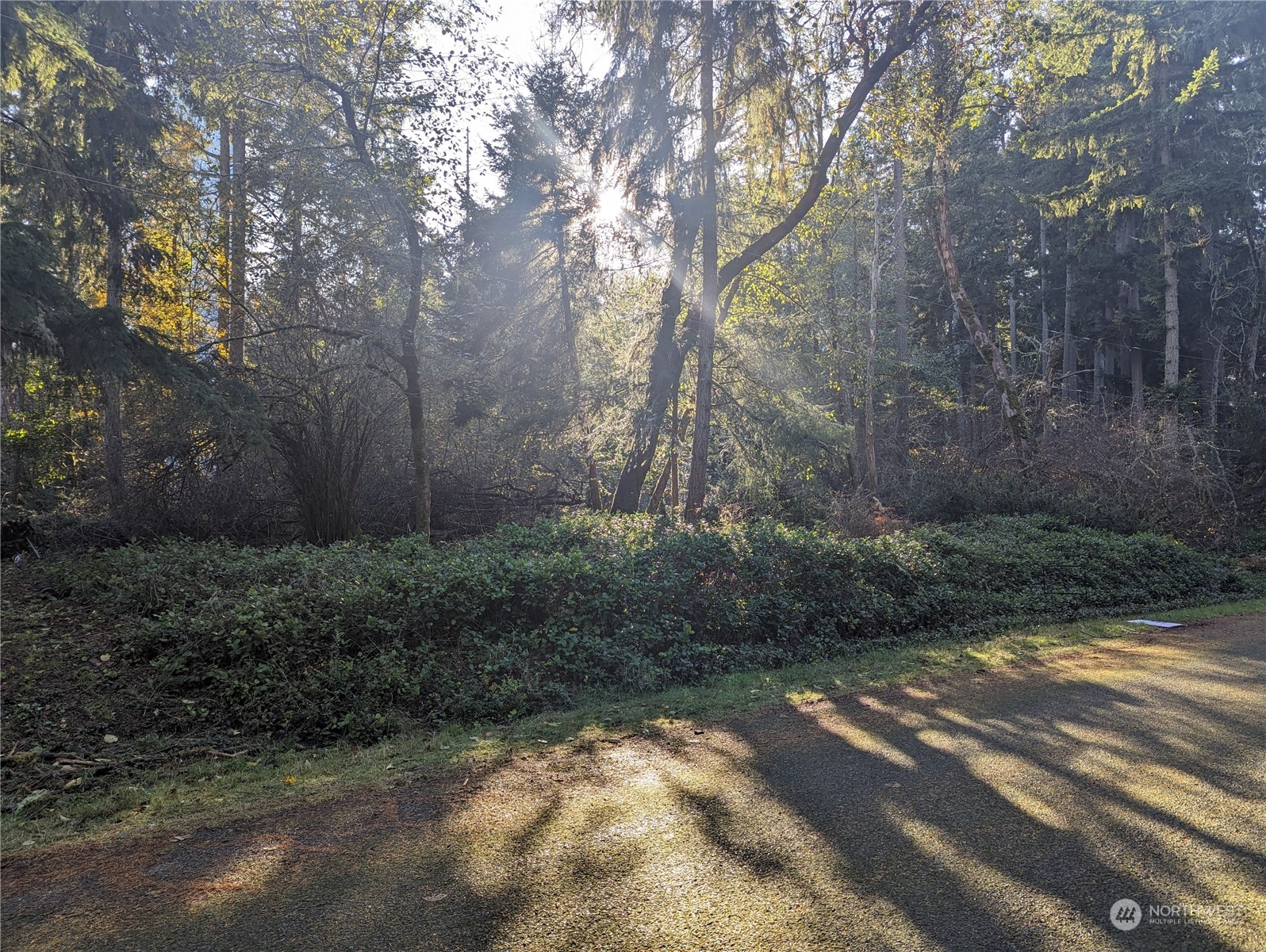 10614 Suncrest Drive Property Photo 1