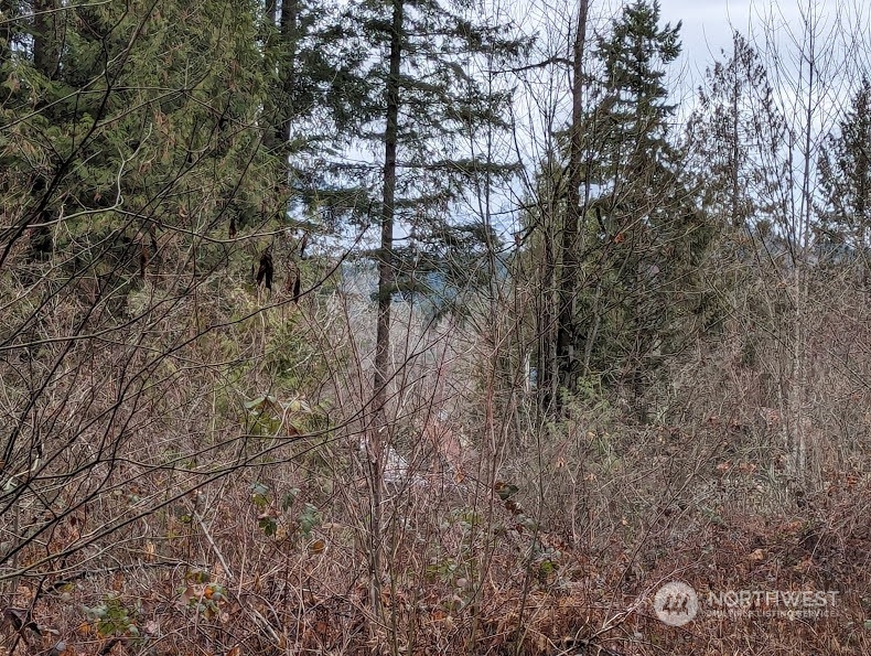 46017 Baker Drive Property Photo 5