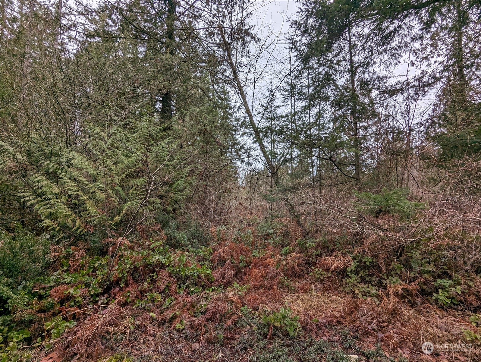 46017 Baker Drive Property Photo 6