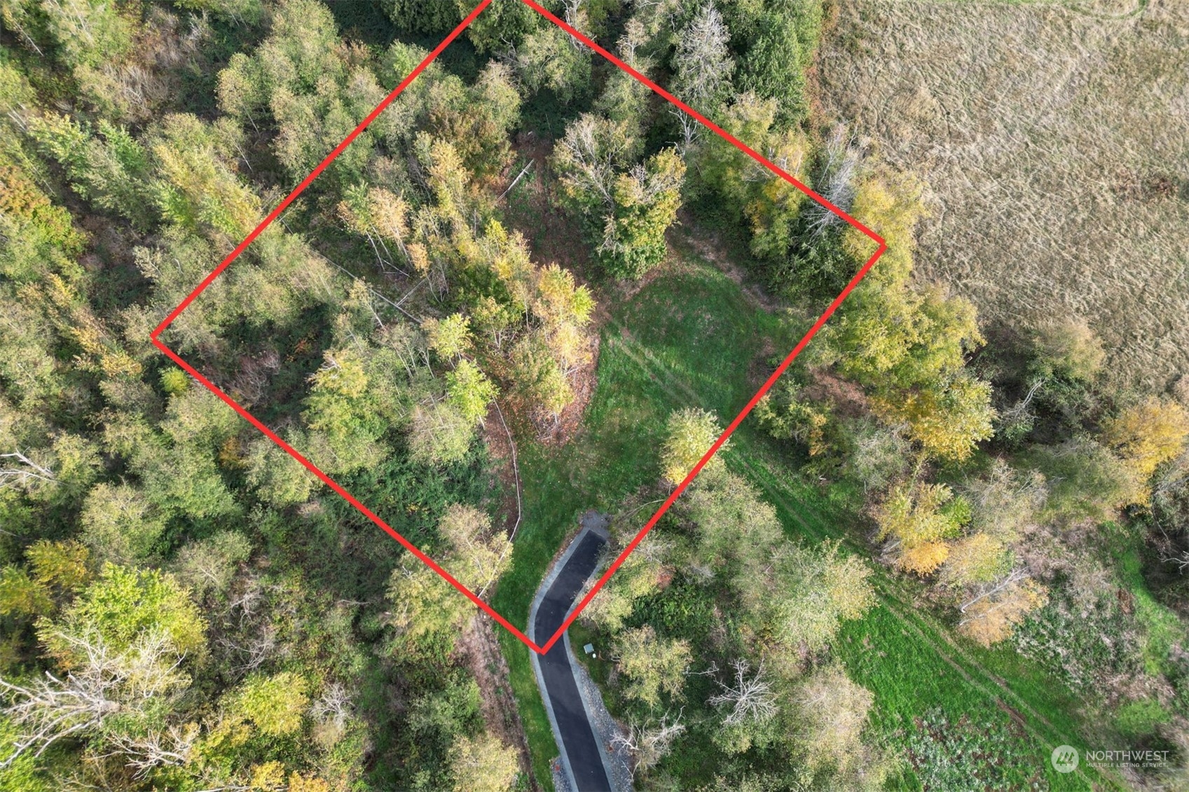 4474 Denali Lane Property Photo 5