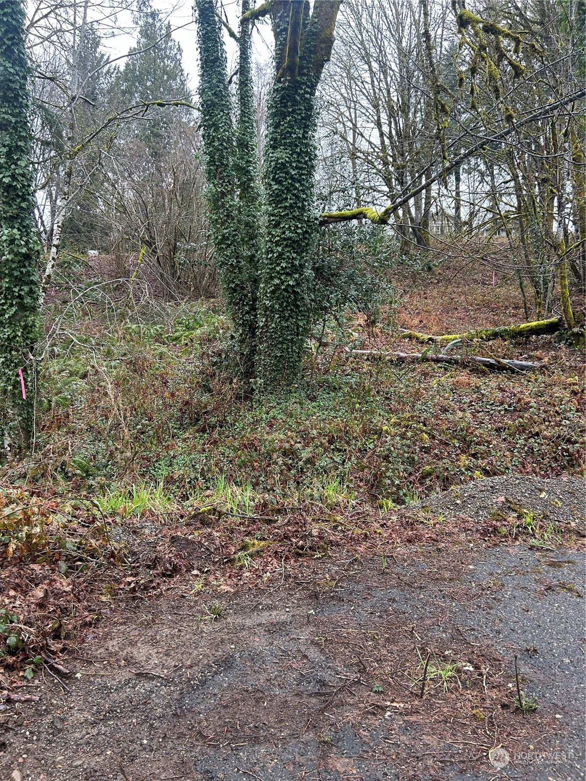 1 Spring Road Property Photo 1