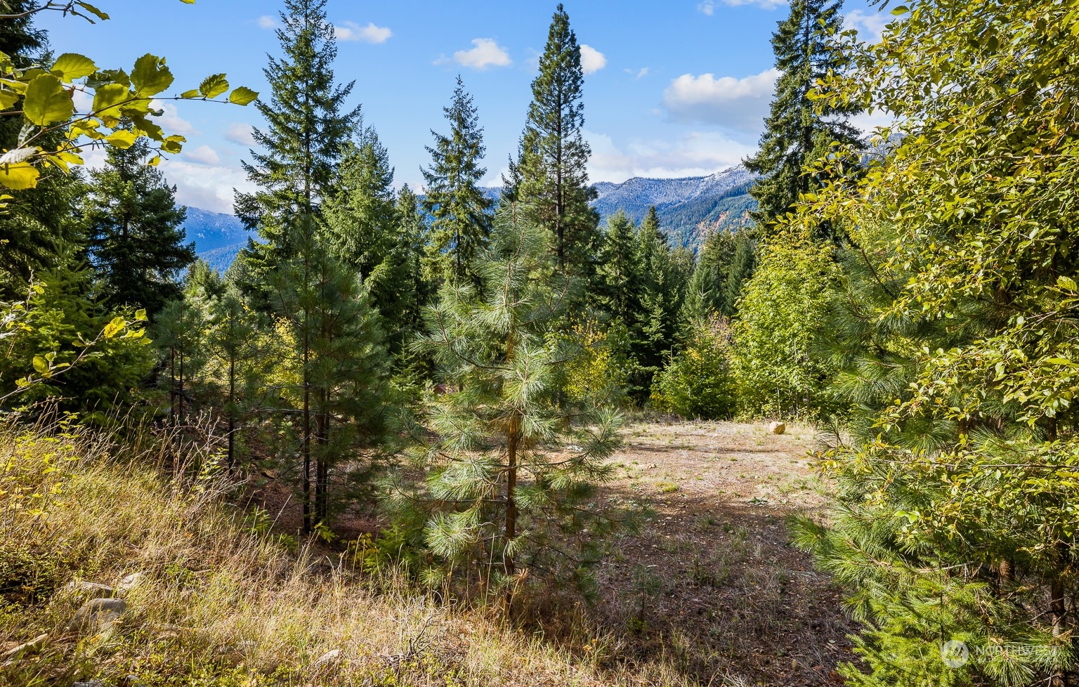33 Lakeside Court Property Photo 1
