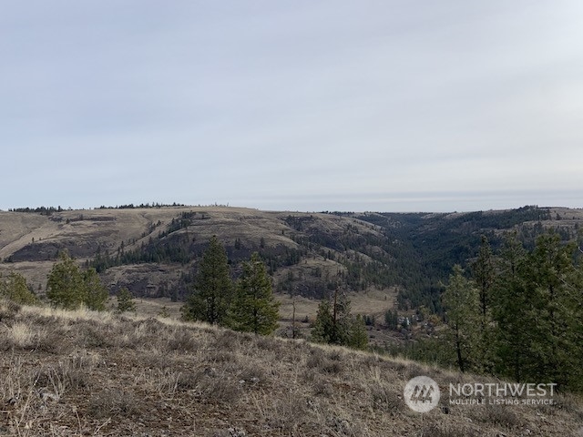 31805 Ruffed Grouse E Drive Property Photo 2