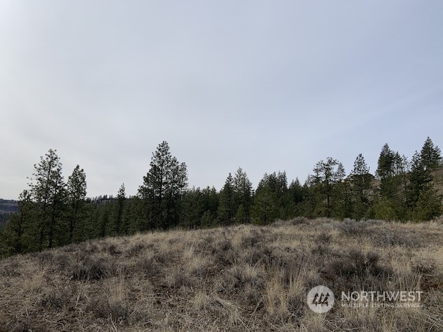 31805 Ruffed Grouse E Drive Property Photo 4