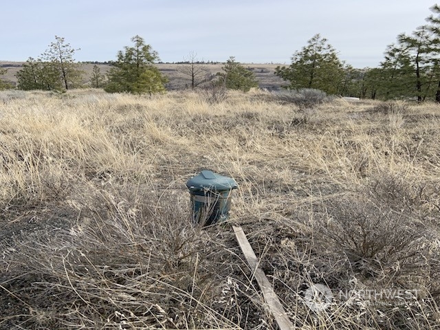 31805 Ruffed Grouse E Drive Property Photo 6