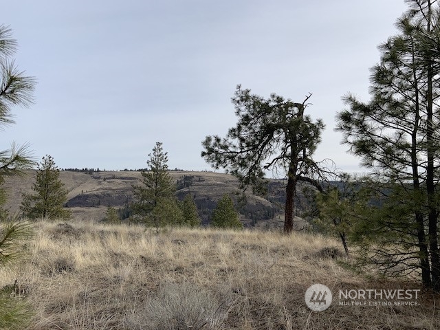 31805 Ruffed Grouse E Drive Property Photo 7