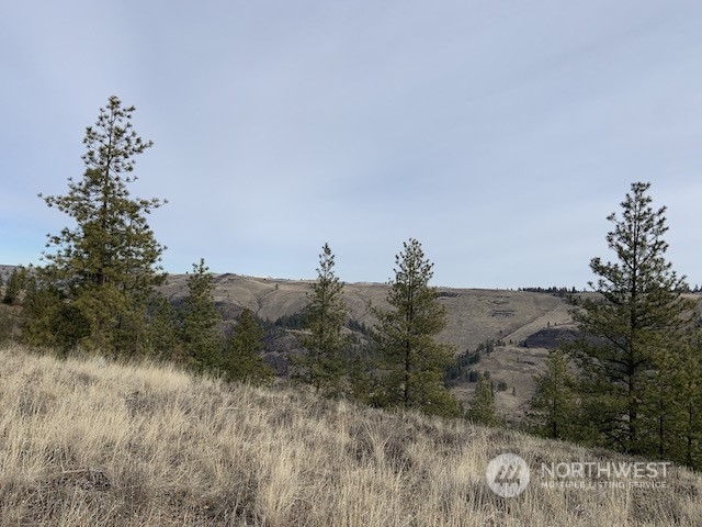 31805 Ruffed Grouse E Drive Property Photo 8
