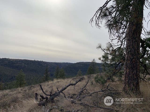 31805 Ruffed Grouse E Drive Property Photo 10
