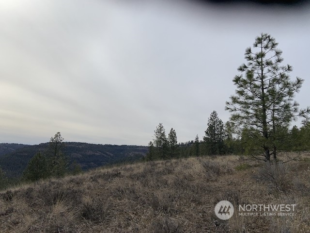 31805 Ruffed Grouse E Drive Property Photo 11
