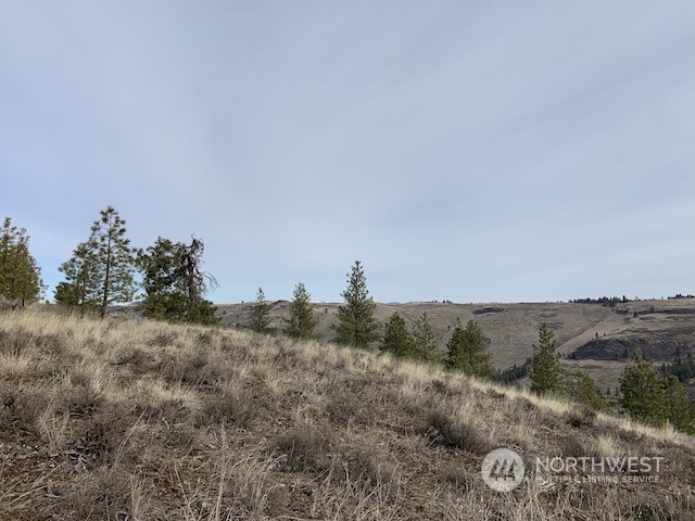 31805 Ruffed Grouse E Drive Property Photo 13