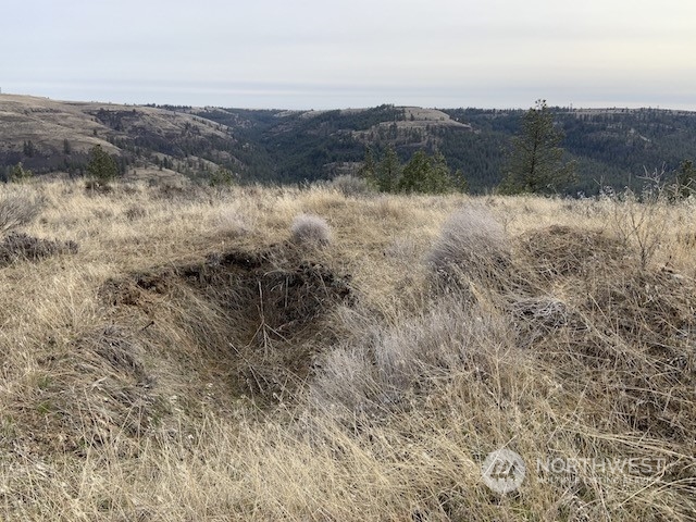 31805 Ruffed Grouse E Drive Property Photo 15