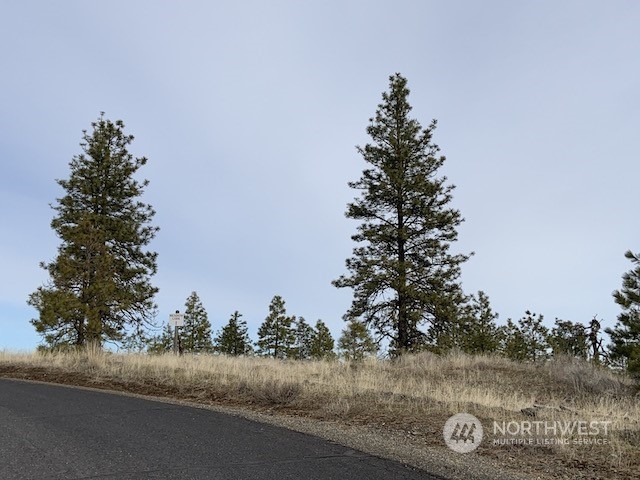 31805 Ruffed Grouse E Drive Property Photo 17