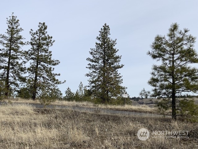 31805 Ruffed Grouse E Drive Property Photo 18