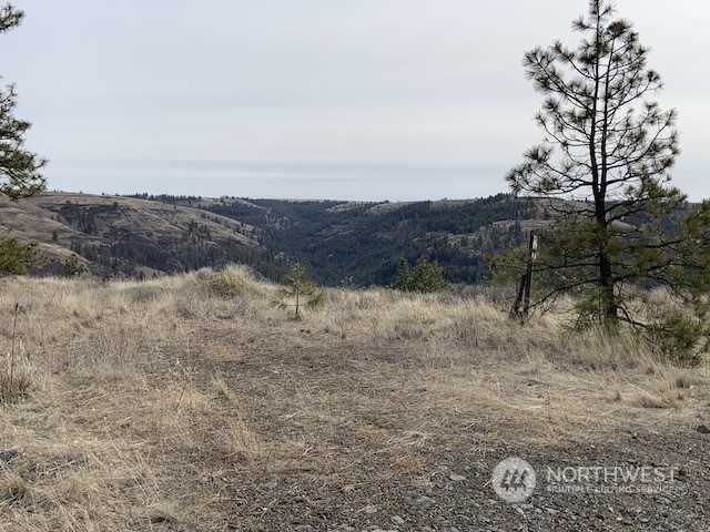 31805 Ruffed Grouse E Drive Property Photo 19