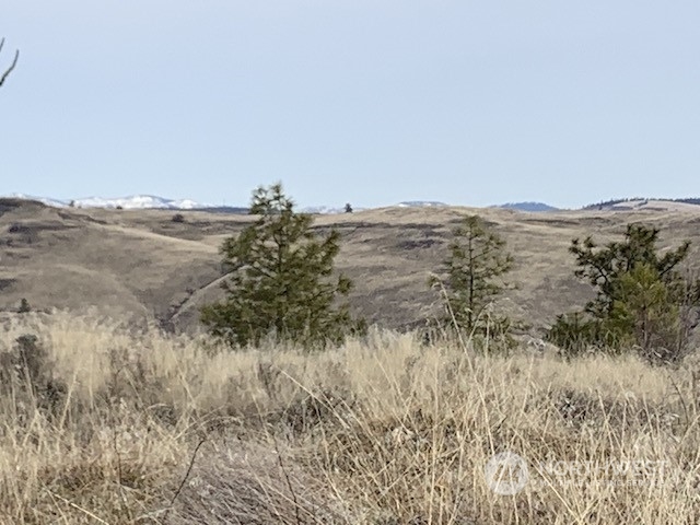 31805 Ruffed Grouse E Drive Property Photo 20