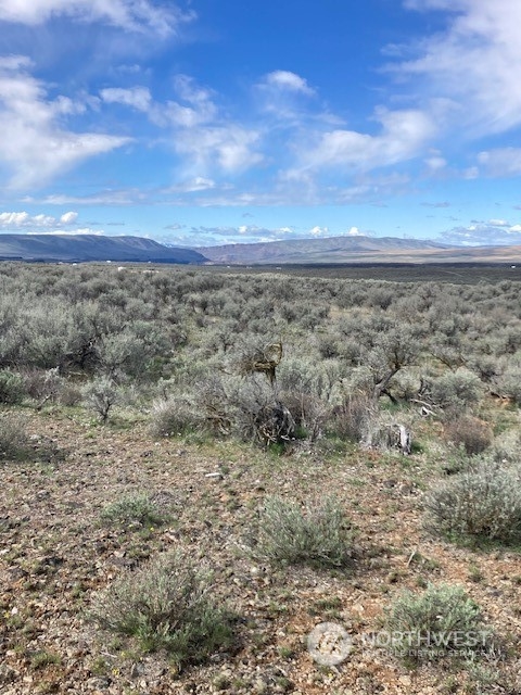 0 Lot 8 Diamondback Drive Property Photo 8