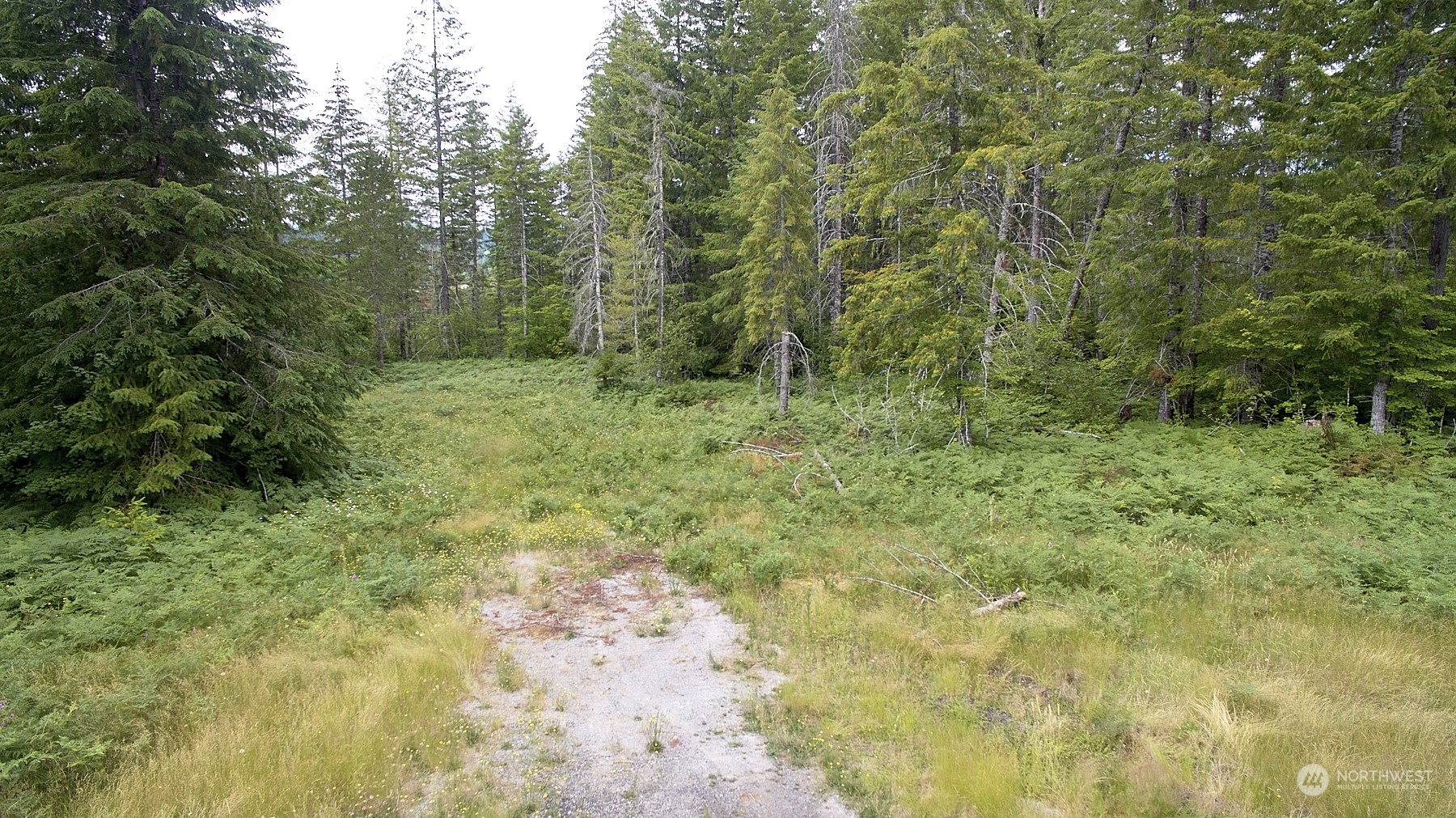 1 Lahar Lane Property Photo 2