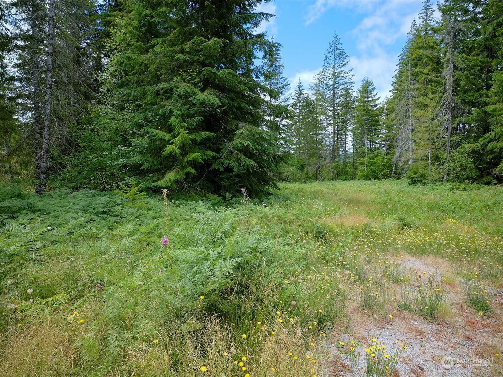 1 Lahar Lane Property Photo 10