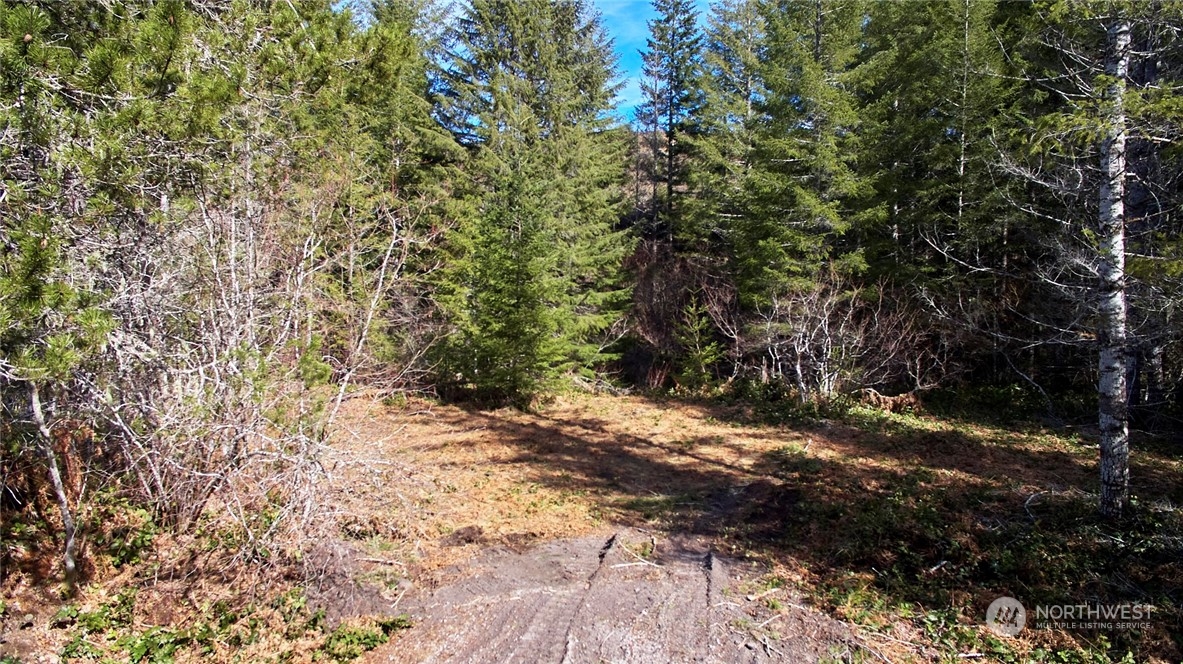 8 Lahar Lane Property Photo 4