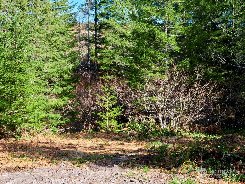 8 Lahar Lane Property Photo 5