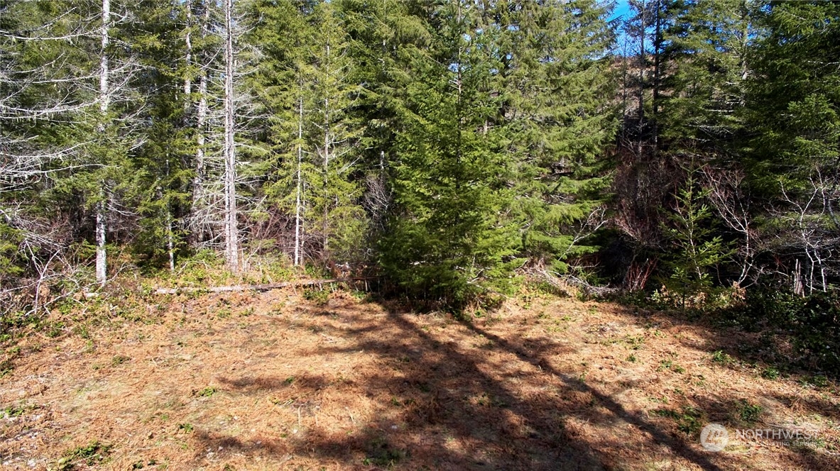 8 Lahar Lane Property Photo 11