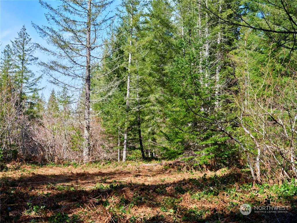 8 Lahar Lane Property Photo 12