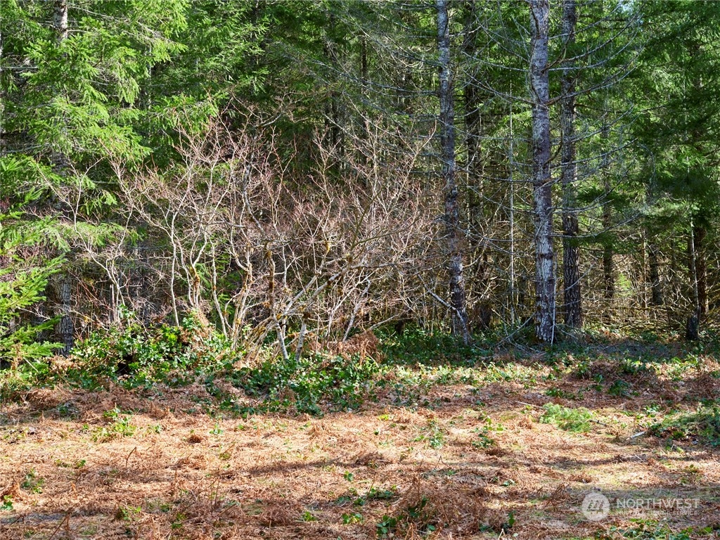 8 Lahar Lane Property Photo 25
