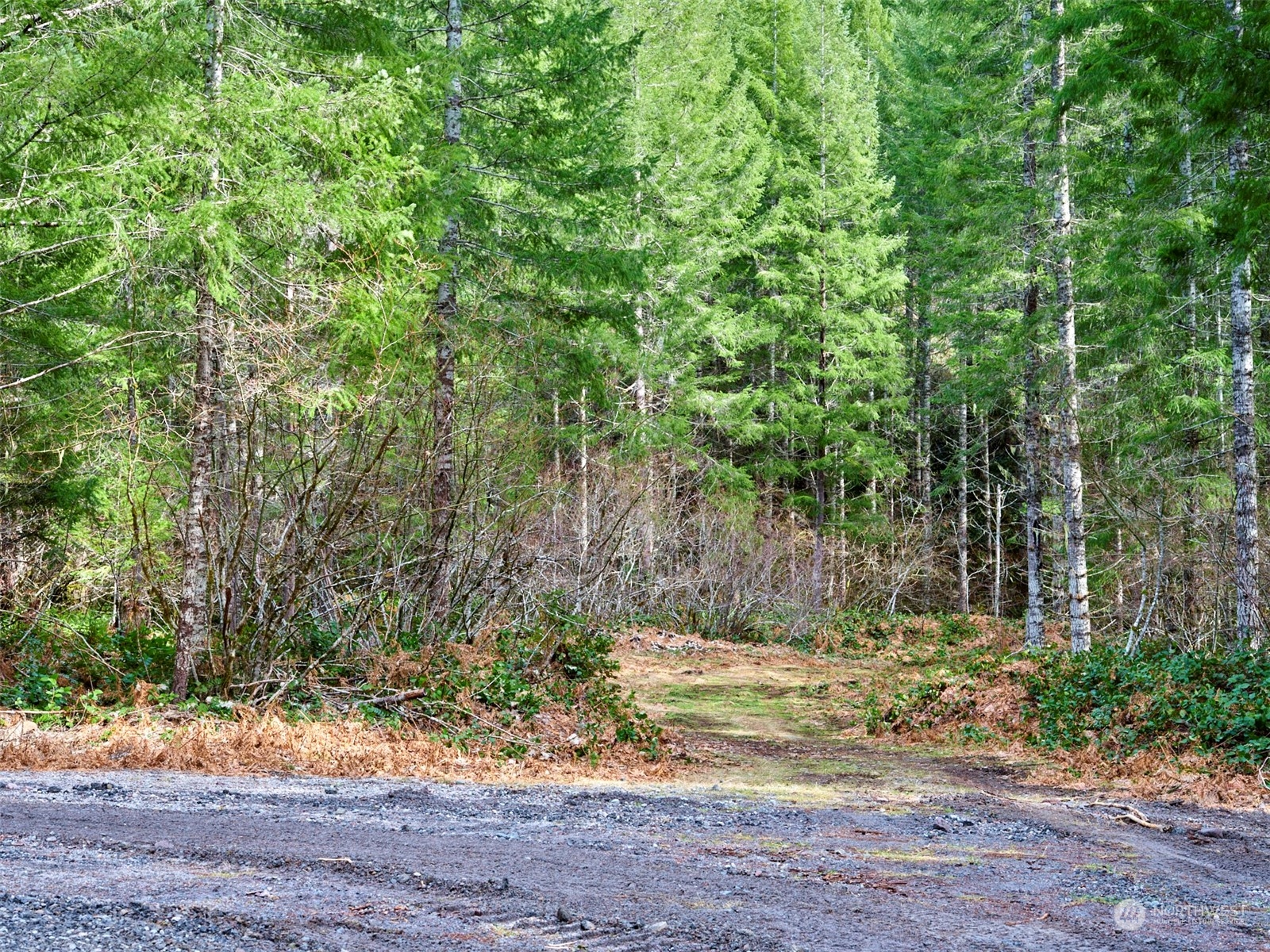 3 Lahar Lane Property Photo 6