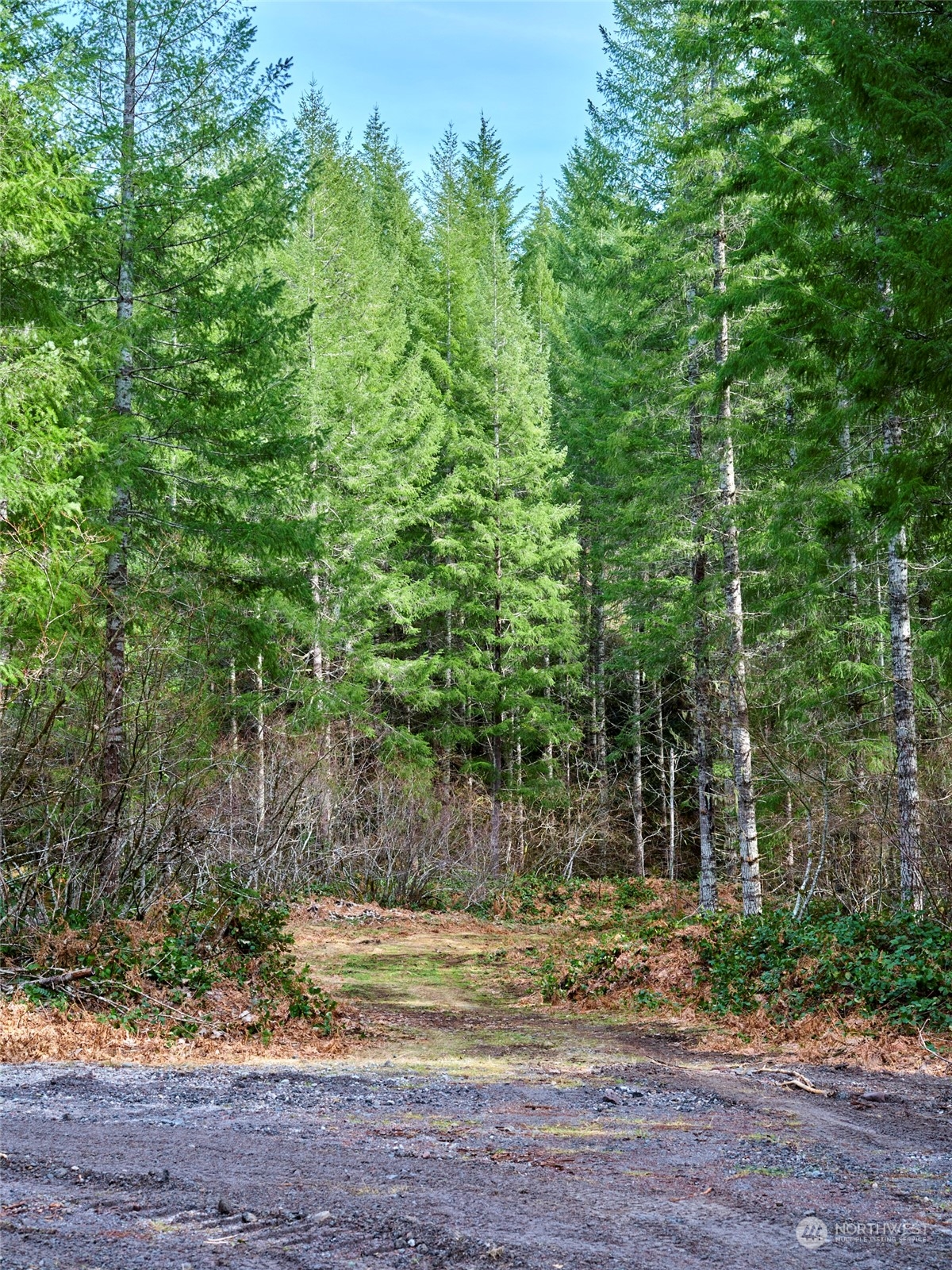3 Lahar Lane Property Photo 7