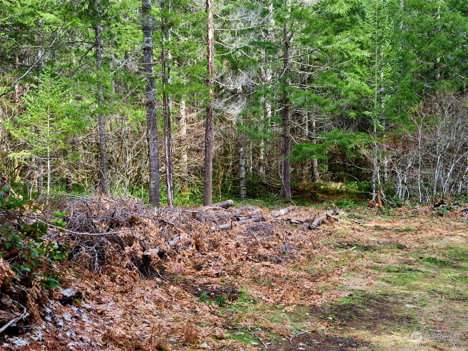 3 Lahar Lane Property Photo 8