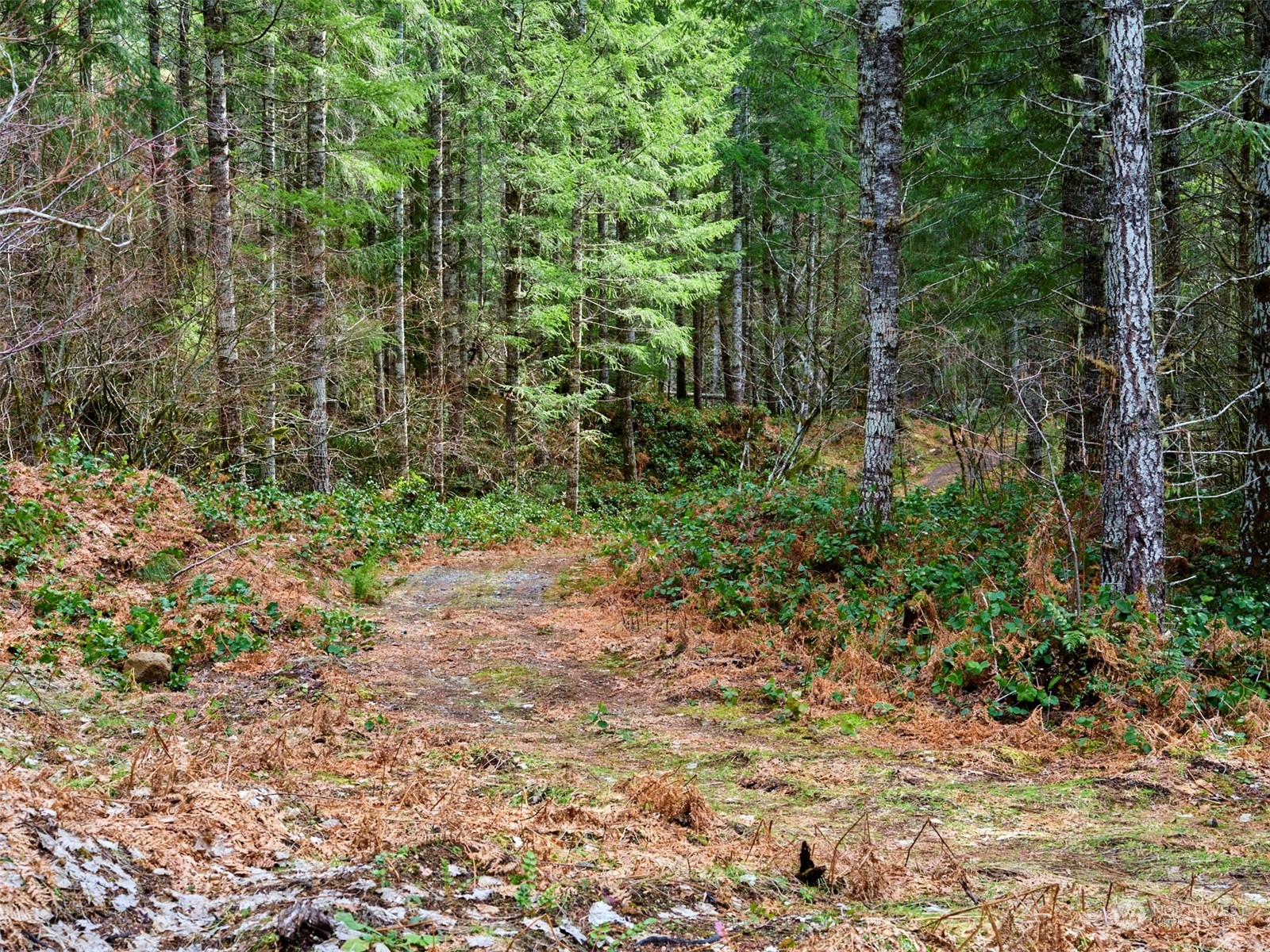 3 Lahar Lane Property Photo 9