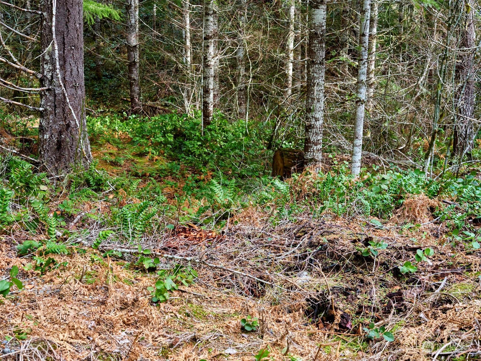 3 Lahar Lane Property Photo 12
